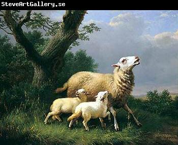unknow artist Sheep 074